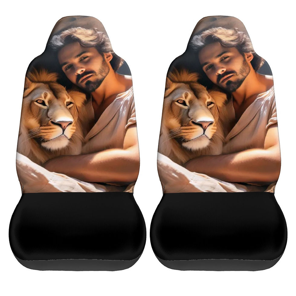 Thumbnail: Daniel & Lion Car Front Seat Covers