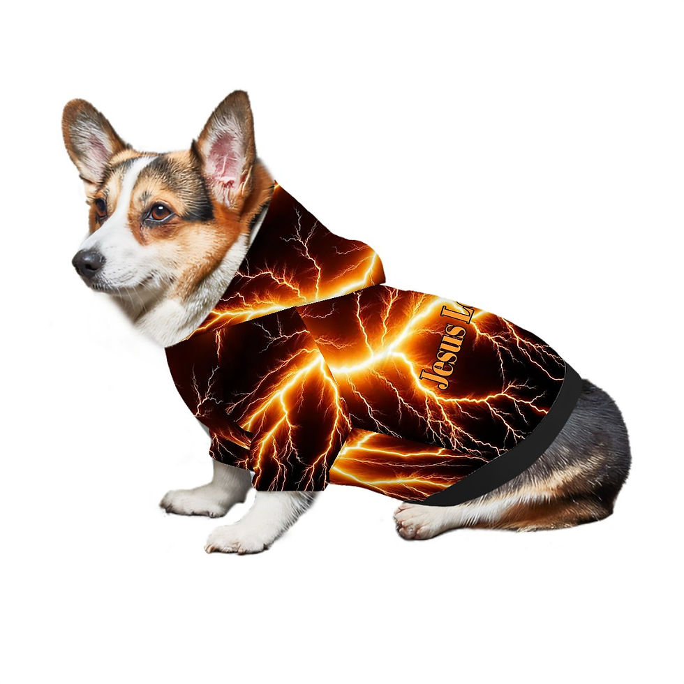 Thumbnail: Jesus Loves Me & Lightning Pet Hoodie