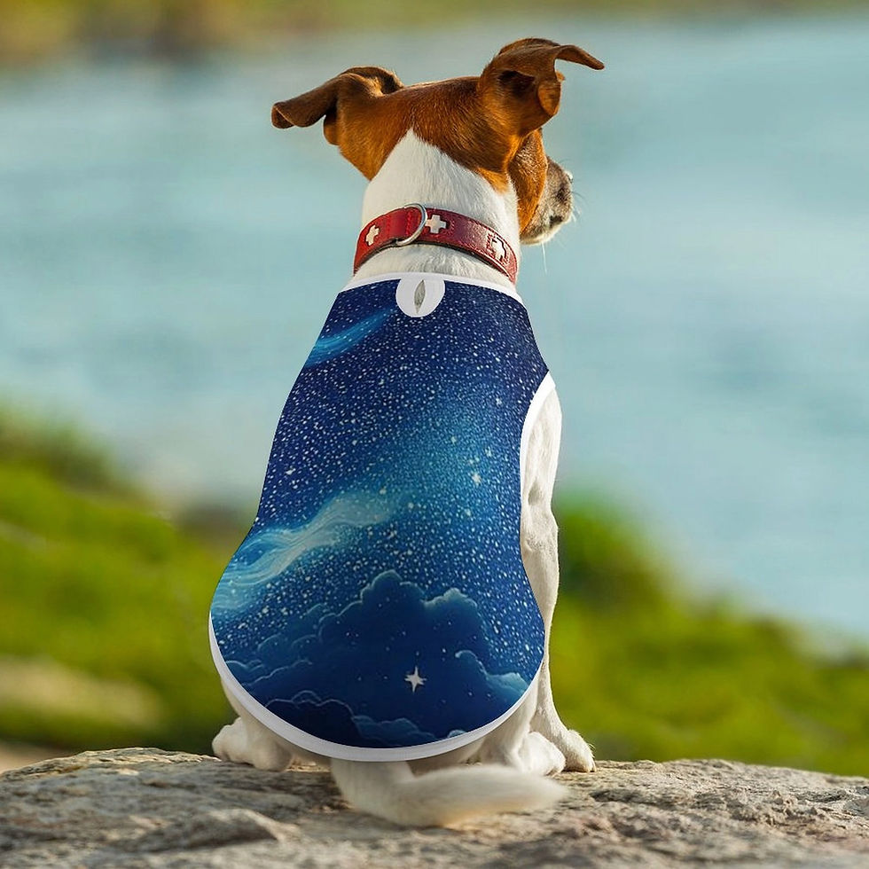 Thumbnail: **Night Sky Pet Vest
