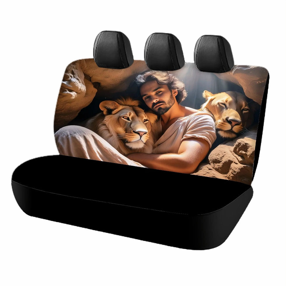 Thumbnail: Daniel & Lions Car Back Seat Cover