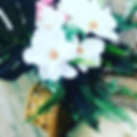 tropicalbabyshowerchairflowers.jpg