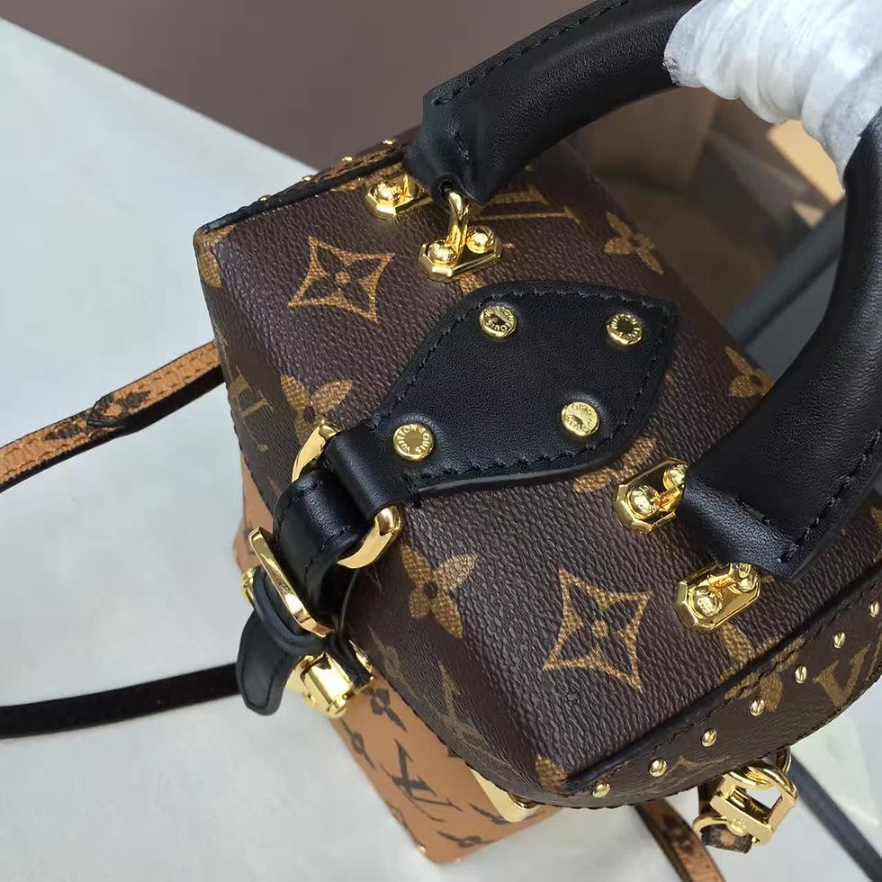 Thumbnail: LOUIS VUITTON Monogram Camera Box
