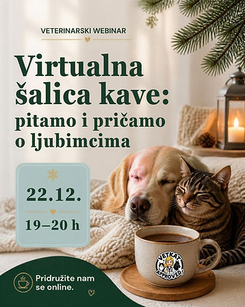 virtualna šalica kave_katarina žumbar_vet kat.jpg