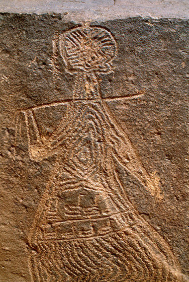 Close up of the leader in these groups © David Coulson/TARA