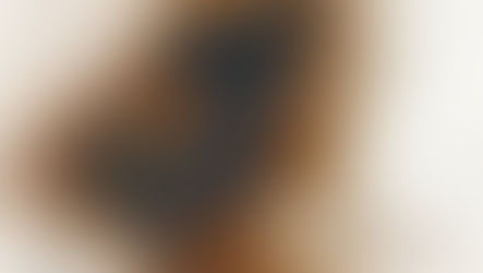 Secrets of the Sahara 2.0