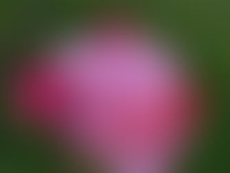 May on the farm