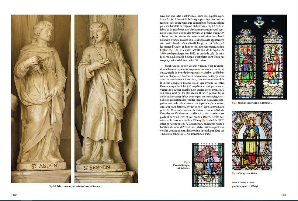Miniature : Entre Perche et Sologne. Images des saints en Loir-et-Cher