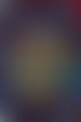 La cathédrale Saint-Gatien de Tours : une histoire au prisme de ses verrières