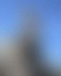 Basilique de Blois – Visite du clocher et du carillon - Samedi 18 avril 2026