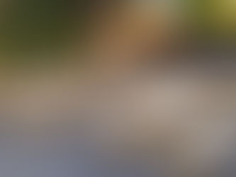 Heavy-duty timber picnic tables arranged in a large, sunny Melbourne pub courtyard for commercial seating.