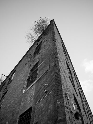 DSC_0453.jpg