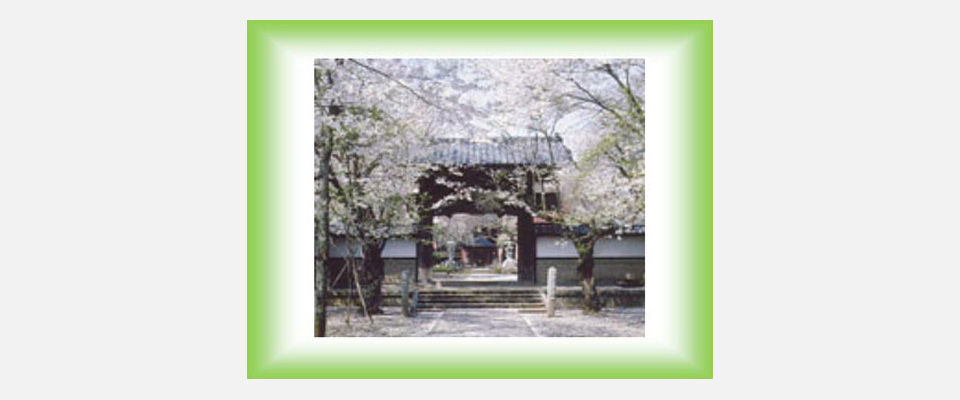 崇真寺バナー.jpg