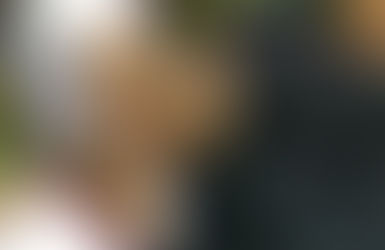 Hargailah Ibu Bapa sementara masih ada