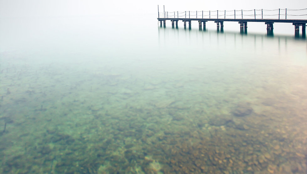 Muelle con niebla