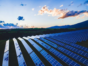 鈣鈦礦太陽能板:革新日本農業的新利器