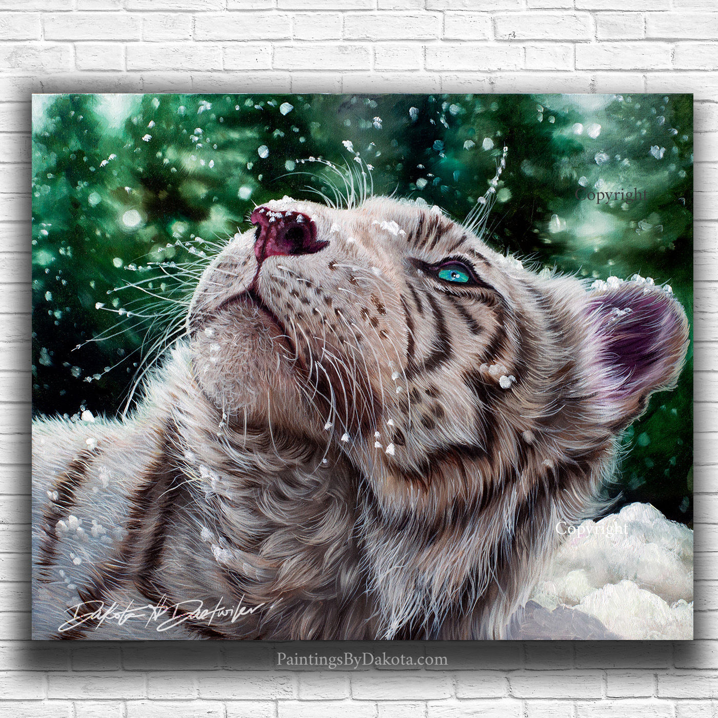 Tiger, White Bengal Tiger, Albino Bengal Tiger, Large Cat, Snow Tiger, Gift for Cat lover, Tiger portrait, Stunning eyes,