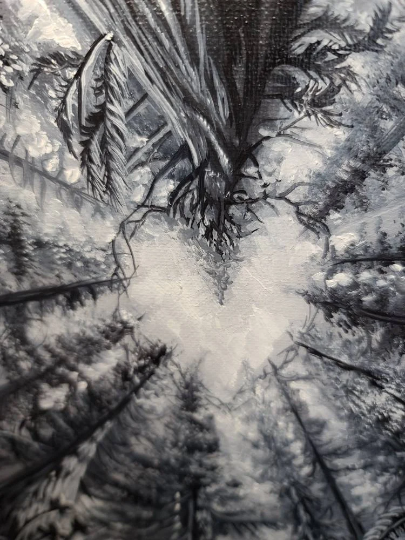 Thumbnail: Black and White Forest, Redwood Forest, Heart Shape, Heart in Tree Canopy, Humboldt County, Sky Gazing, Gift for Woman,