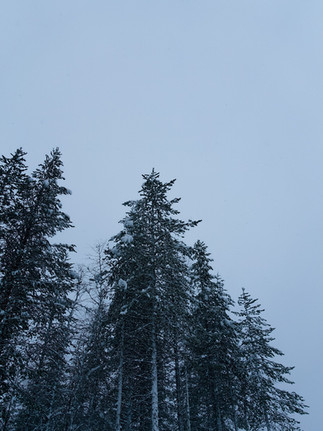elliandjake in a hostel in Norway.