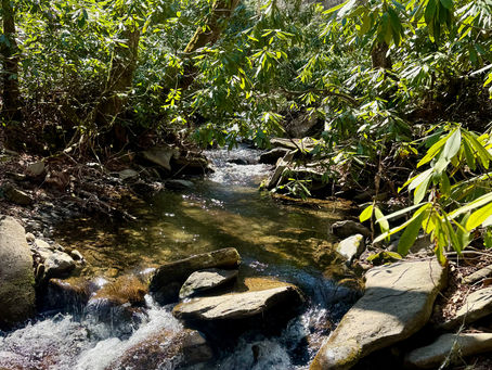 Two Creeks, Two Fish, one valley between them.