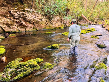 First Cast, First Brookie — Nate’s Introduction to the Smokies