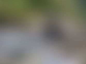 "PRISON WALLS" - DEBBIE KENNEDY -
(a short prayer then the poem is in English)