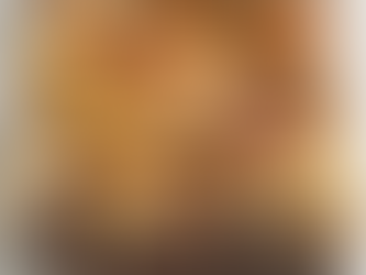 German chocolate pecan pie bars !!!