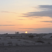 DSC_0722.JPG