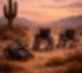Desert_Wheelchairs Elysium nevada_edited_edited.jpg