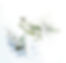watercolor1.jpg