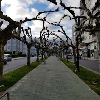 camino 1.jpeg