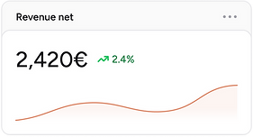 Revenue net eStorie