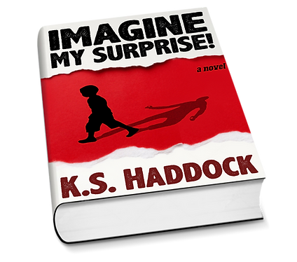 IMS! book mockup