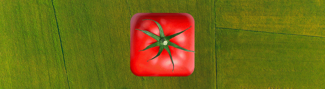gify.gif