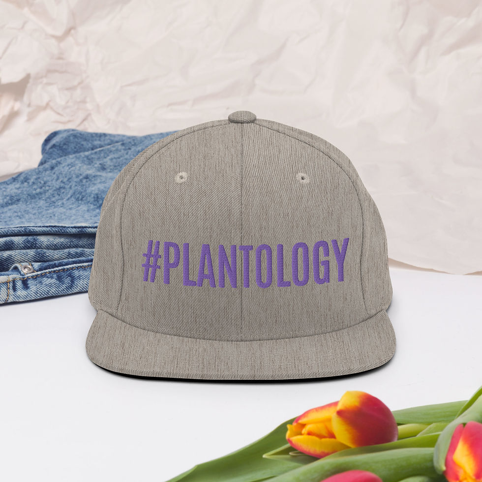 Thumbnail: #PLANTOLOGY Snapback Hat (Purple)