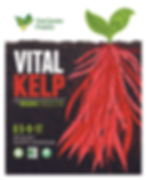 Thumbnail: Vital Kelp (1 lb)