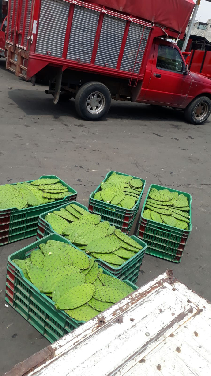 Esto es un producto