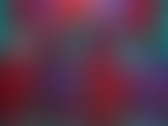 You Don’t Actually Want Diversity. You Want Obedient Color.