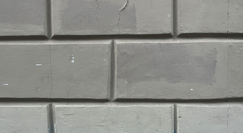 MIP25 - Home Page plain.jpg