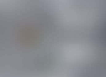 CHRISTMAS CLOSING DATES