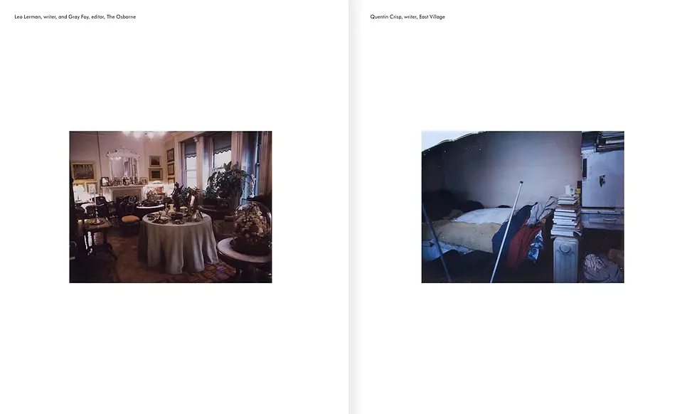 Miniature : New York Living Rooms par Dominique Nabokov