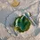 Miniature : Set tout rond