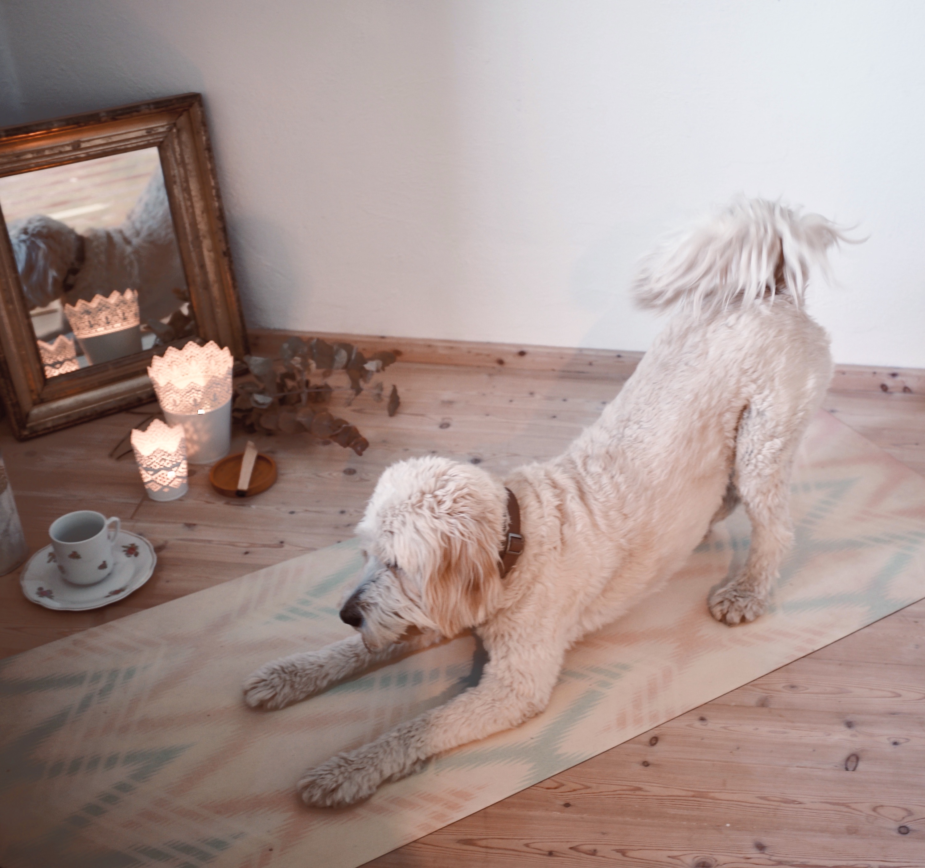 Yoga + Brunch + Kunst (rundherum)