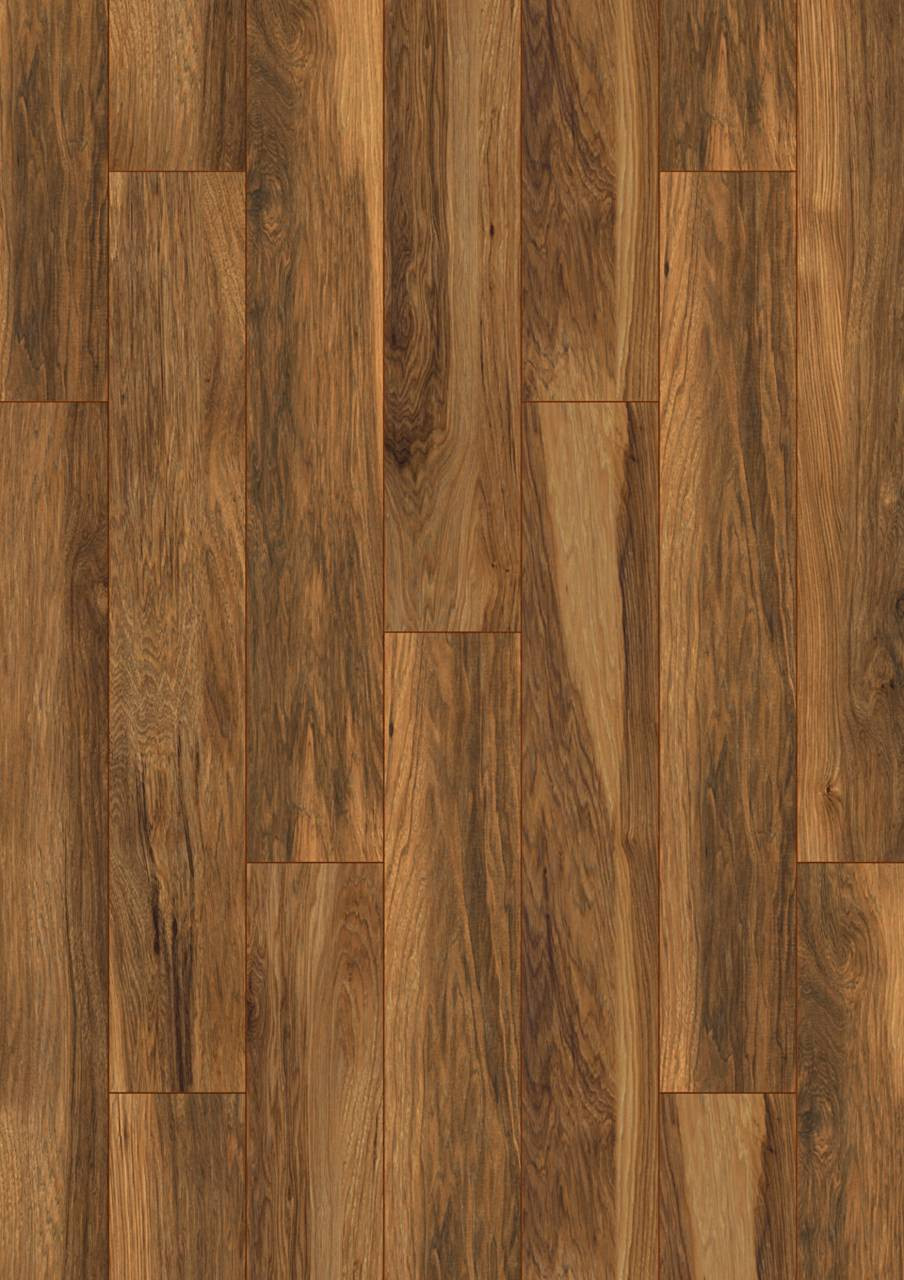 Appalachian Hickory - 8155