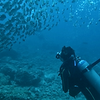 PADI Open Water Course Guanacaste Costa Rica