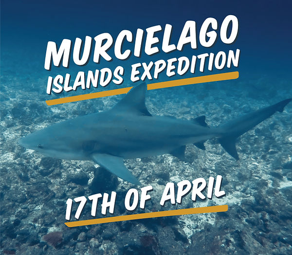 Flyer photo announcing the next expedition