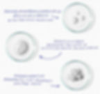 Diagram explaining ingredients of PAP+