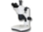 Stereo Zoom Microscope