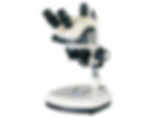 Binocular Stereo Microscope
