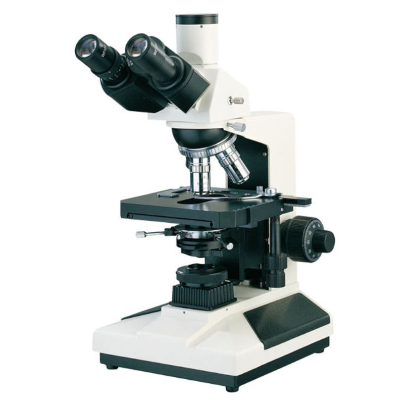 upright biological microscope L2800