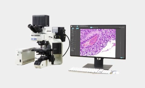 WiFi multi-viewing workstation for microscope
